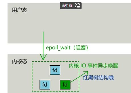image-20231008183721906